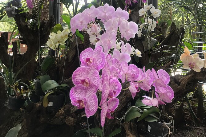Private Silleteros (Flowers) Tour - Recap