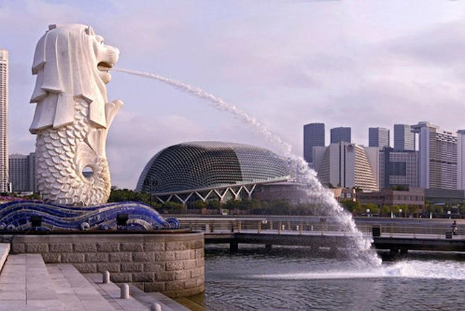 Private Singapore Airport Layover Walking Tour - Reviews and Pricing