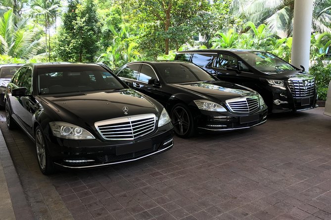 Private Singapore Departure Transfer: City to Airport or Cruise Terminal - Good To Know