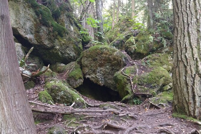 Private Singhampton Caves Hiking Tour, Collingwood/Blue Mountain - Scenic Views of the Valley