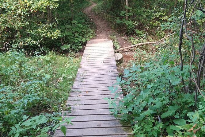 Private Singhampton Caves Hiking Tour, Collingwood/Blue Mountain - Customizing the Return Hike