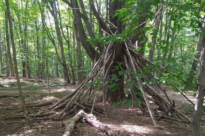 Private Singhampton Caves Hiking Tour, Collingwood/Blue Mountain - Physical Fitness Requirement