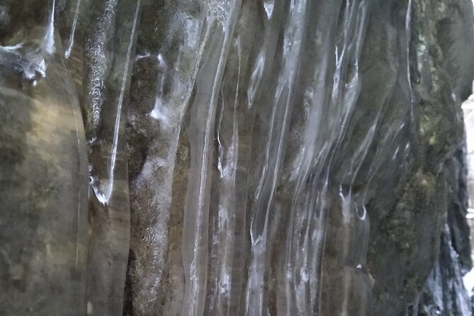 Private Singhampton Caves Snowshoe, Collingwood/Blue Mountain - Guided Snowshoe Excursion