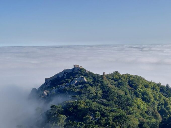 Private Sintra Half-Day: Skip Lines at Two Iconic Palaces - Customer Feedback