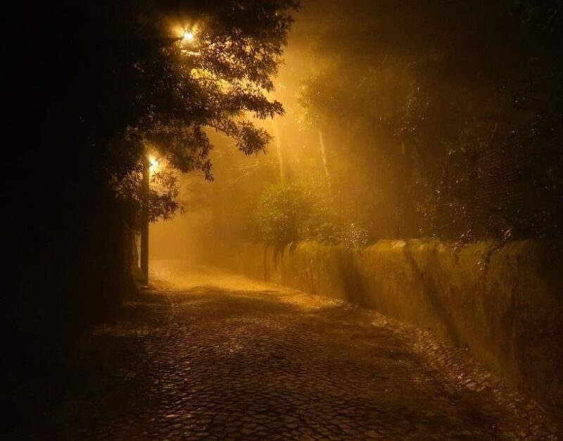 Private Sintra Night Walk: Dreams in the Woods - Inclusions and Restrictions