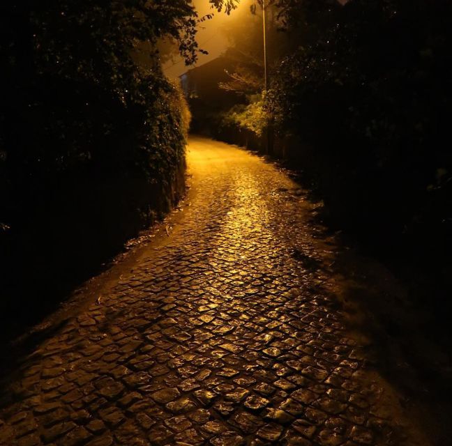 Private Sintra Night Walk: Dreams in the Woods - Exploring the Moonlit Landscape