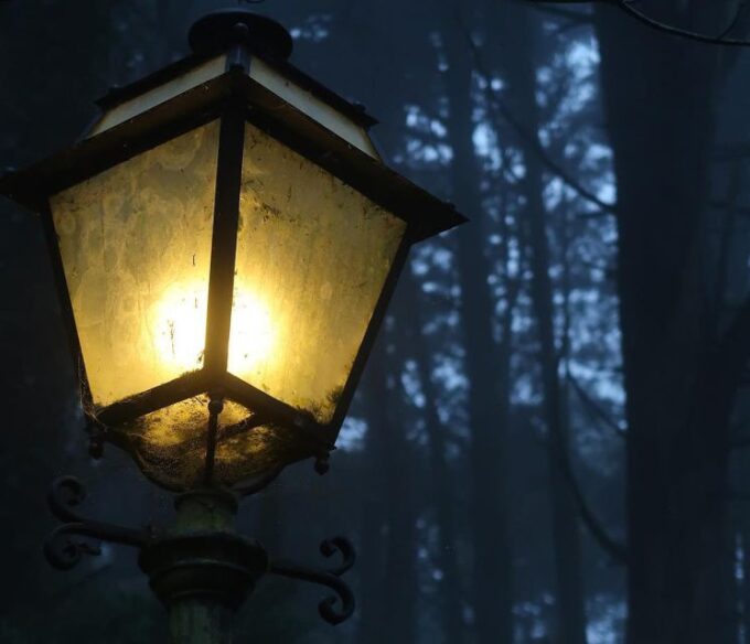 Private Sintra Night Walk: Stories From the Mountains - Booking and Payment