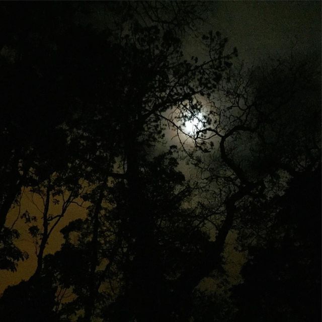 Private Sintra Night Walk: Stories From the Mountains - Overview and Pricing
