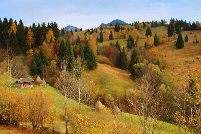 Private Six Days Tour to Maramures and Bucovina From Cluj-Napoca - Inclusions and Exclusions