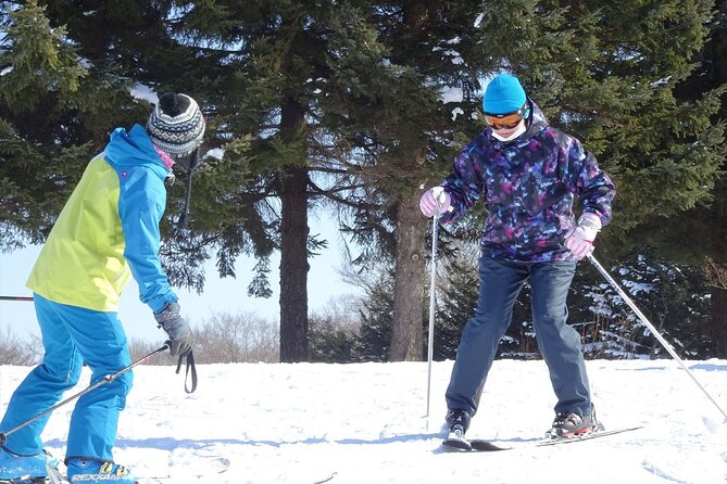 Private Ski Lesson for Beginners in Chitose - Lesson Details