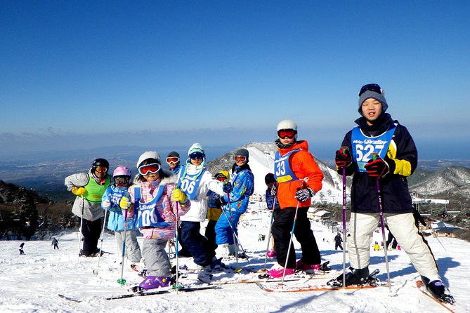 Private Ski Lesson for Family or Group(Transport Included ) - Recommended Participants
