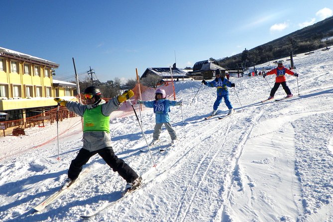 Private Ski Lesson for Family or Group(Transport Included ) - Domestic Travel Accident Insurance