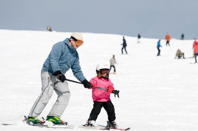 Private Ski Lesson or Snowboarding Lesson for 2 or 3 People - Key Points