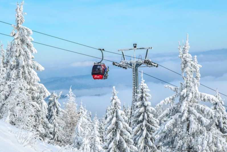 Private Ski Safari Day With Transport - Skiing Experience