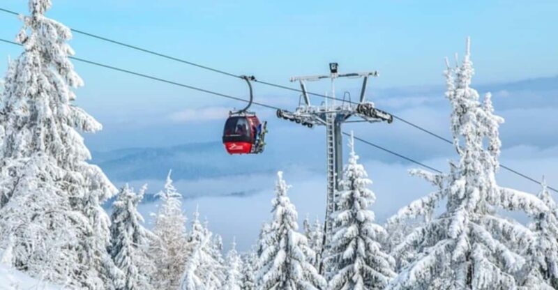 Private Ski Safari Day With Transport - Highlights and Amenities