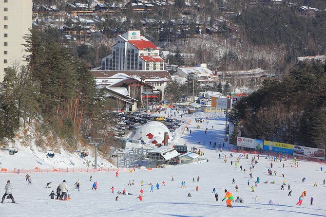 Private Ski Tour Review: Pyeongchang Olympic Resort - Pickup Information