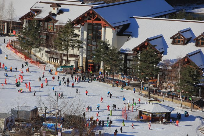 Private Ski Tour Review: Pyeongchang Olympic Resort - Booking Details