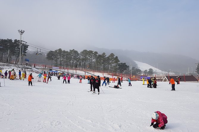 Private Ski Tour Review: Pyeongchang Olympic Resort - Ski Equipment and Lessons