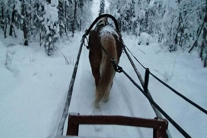 Private Sleigh Ride With Finnhorse - Quick Points