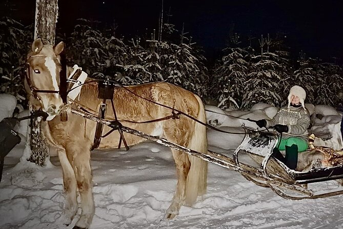Private Sleigh Ride With Finnhorse - Savoring the Finnish Delicacies