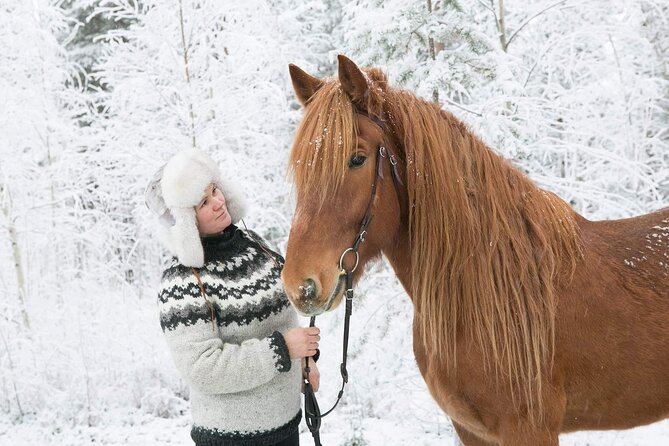Private Sleigh Ride With Finnhorse - Discovering the Santa Claus Village