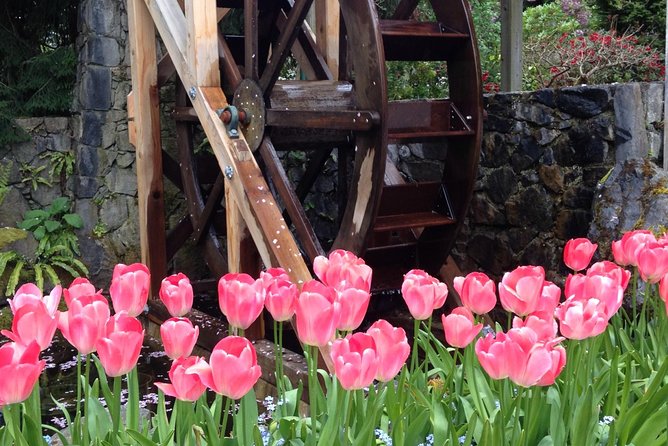 Private Small Group Deluxe Tour of Victoria & to Butchart Gardens - Visiting Butchart Gardens
