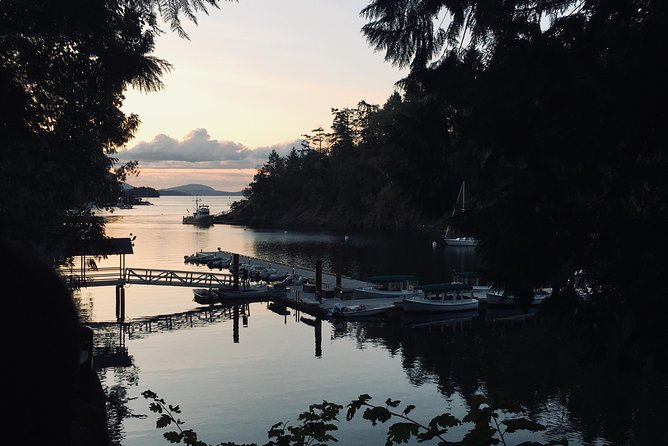 Private Small Group Deluxe Tour of Victoria & to Butchart Gardens - Customizable Itinerary