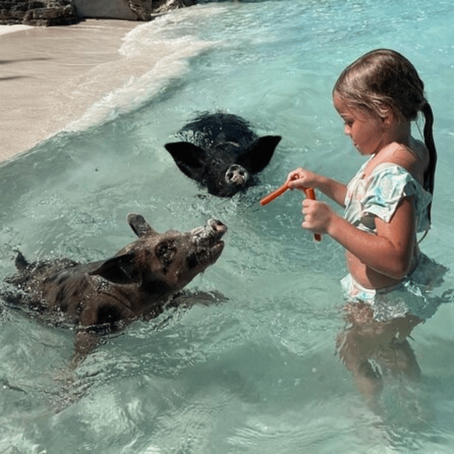 Private Small Group Excursion - Experience Highlights