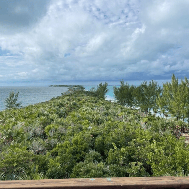 Private Small Group Excursion - Participant Selection