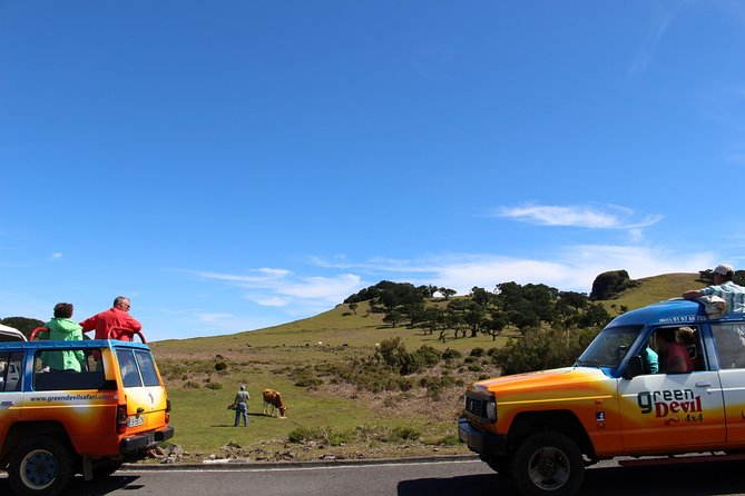 Private Small Group Full Day 4x4 Tour in Northwest Madeira - Natural Volcanic Pools