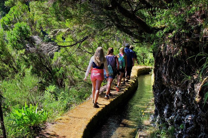 Private Small Group Full Day 4x4 Tour in Northwest Madeira - Scenic Villages