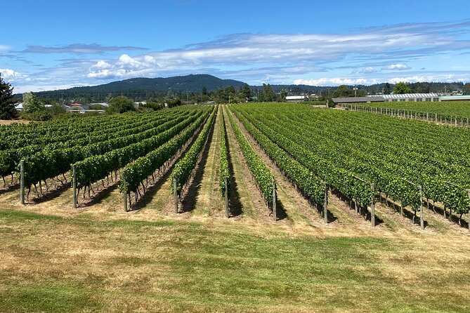 Private Small Group Local Wine and Cider Tasting, Central Saanich - Highlights of the Tasting Experience