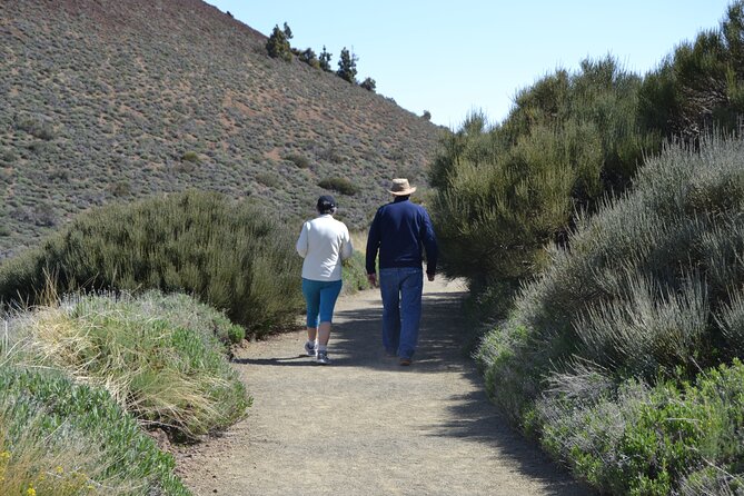 Private Small Group Tour to Teide National Park - Explore Teide National Park