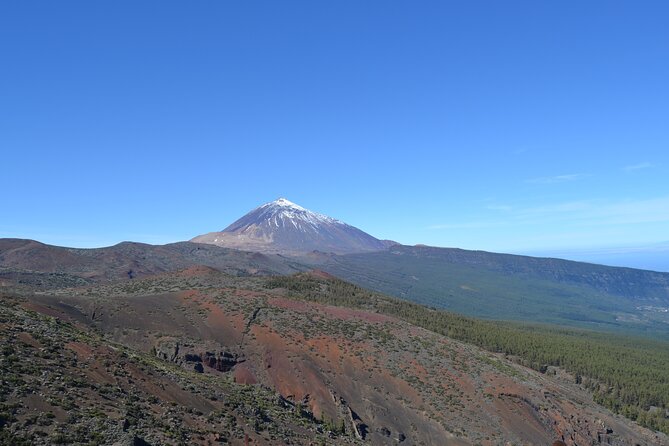 Private Small Group Tour to Teide National Park - Customer Support and Assistance