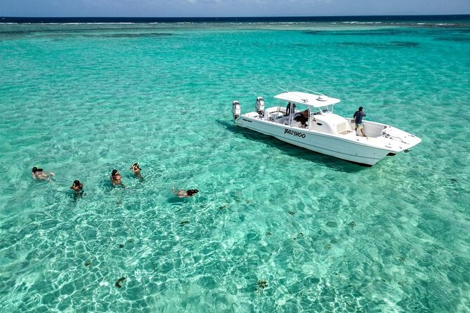 Private Snorkel and Cruise Experience in Ceiba - Inclusions and Amenities