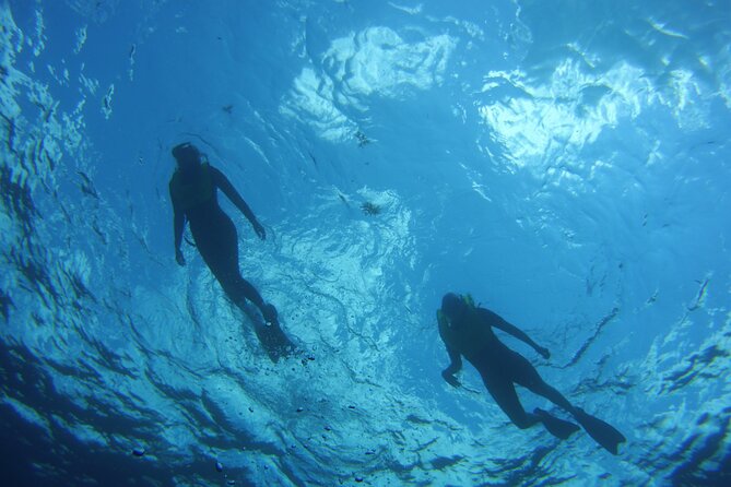 Private Snorkel Charter to the Key Largo Reef for Group up to 10 - Cancellation Policy