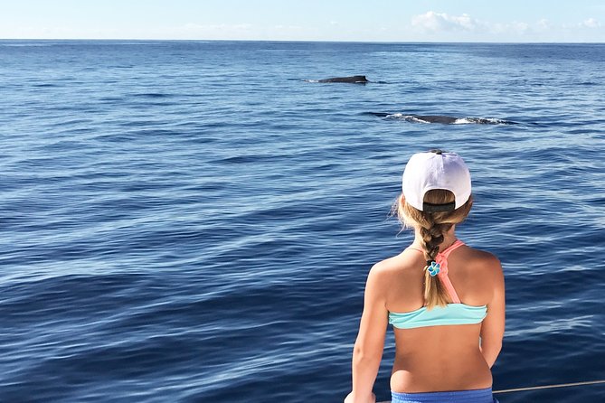 Private Snorkel Trip From Oahu on a Yacht - Whats Included in the Trip