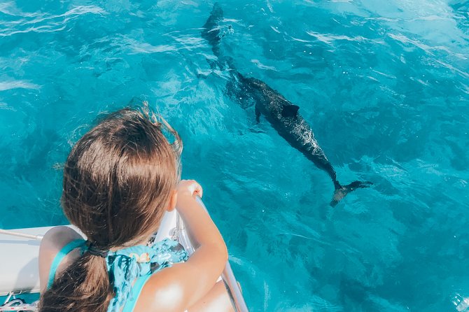 Private Snorkel Trip From Oahu on a Yacht - Dietary Accommodations