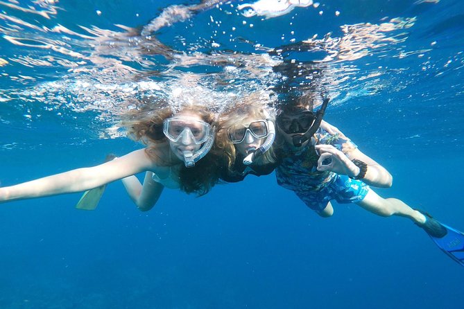 Private Snorkel With 2 Stops in Aruba - Eco-Friendly! - Personalized Guided Tour