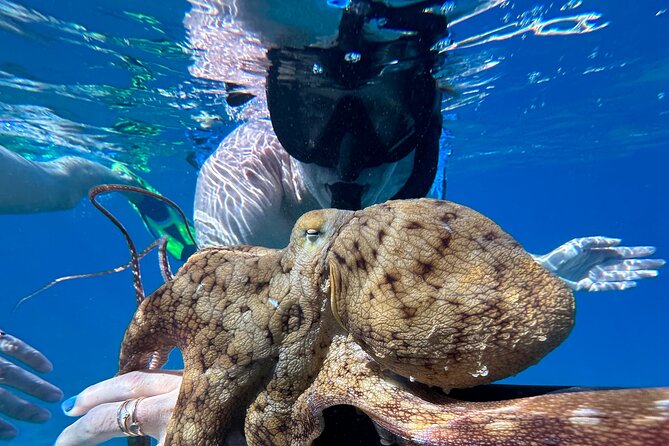 Private Snorkel With Beach Set-Up - Meeting Information