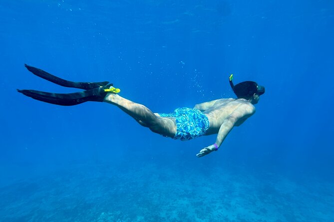 Private Snorkel With Beach Set-Up - Customer Reviews