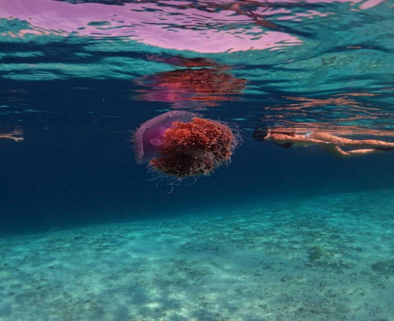 Private Snorkeling 4 Spots Turtle in Gili Islands - Key Points