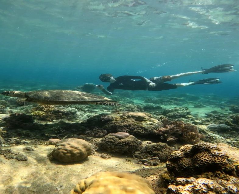 Private Snorkeling 4 Spots Turtle in Gili Islands - Participant Requirements