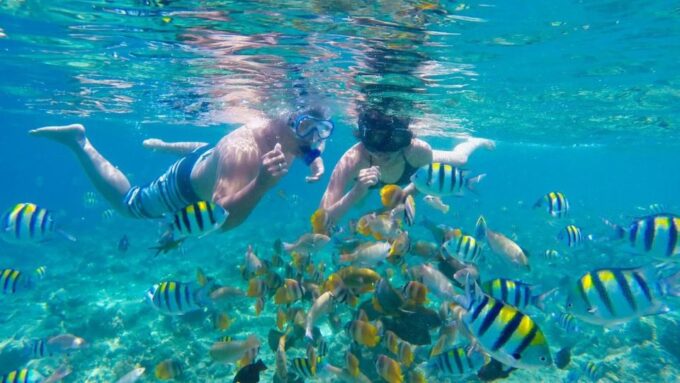 Private Snorkeling 4 Spots Turtle in Gili Islands - Frequently Asked Questions