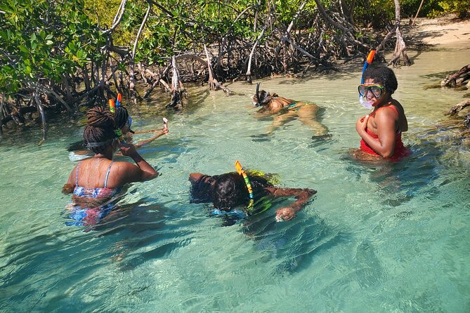 Private Snorkeling and Biobay Boat Tour From San Juan - Bioluminescent Waters