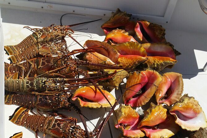 Private Snorkeling And Fishing Activity - The Itinerary in Detail