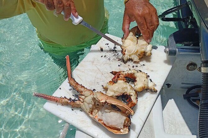 Private Snorkeling And Fishing Activity - FAQ