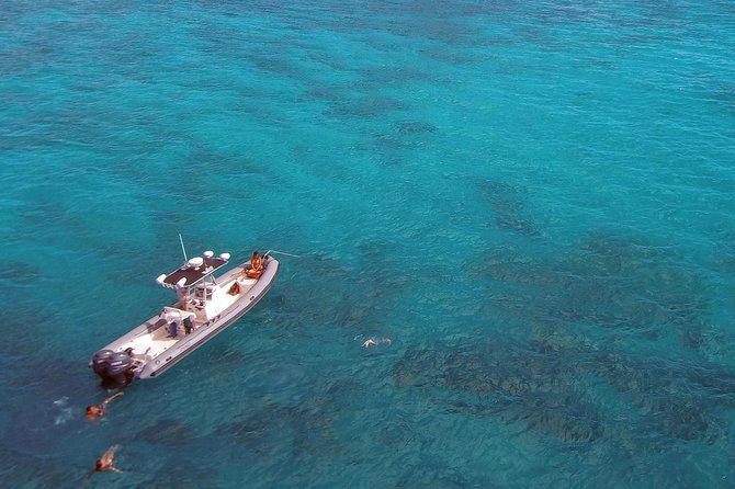Private Snorkeling and Wildlife on The Adventure Boat - Inclusions and Gratuities