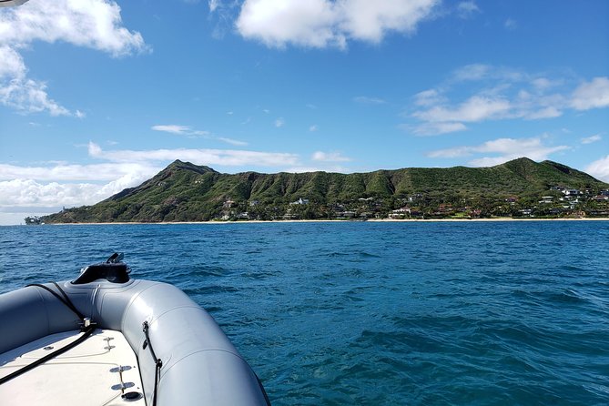 Private Snorkeling and Wildlife on The Adventure Boat - Accessibility and Medical Considerations