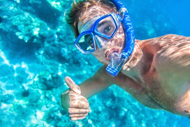 Private Snorkeling Boat Tour in San Jose Del Cabo - Key Points